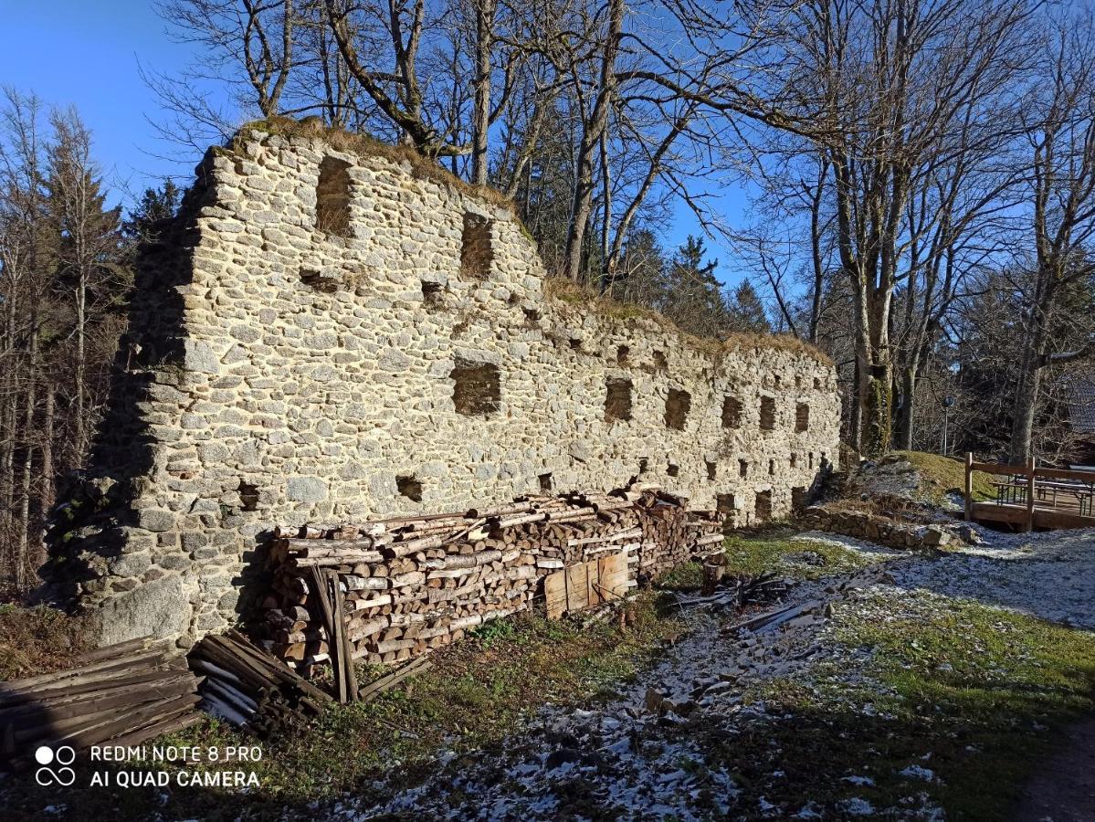 Apartamento Apartmán u Vrbů Černá v Pošumaví Exterior foto