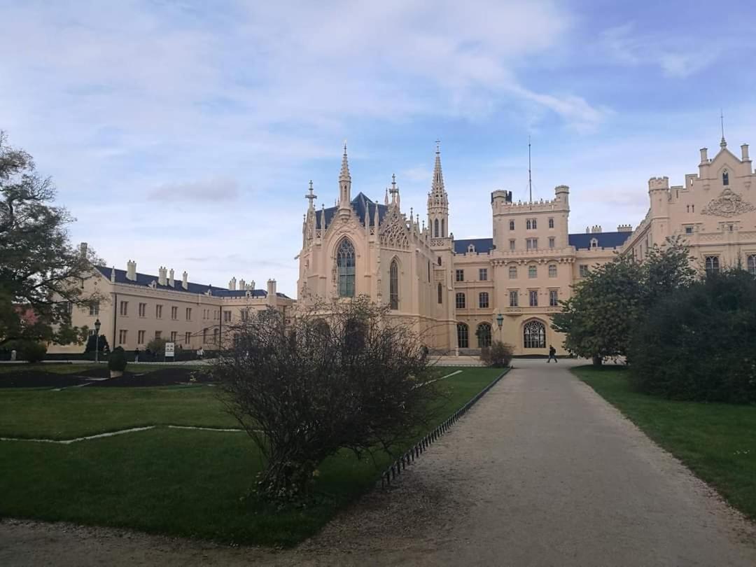 Apartamento Apartmán u Vrbů Černá v Pošumaví Exterior foto